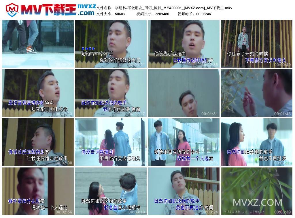 李朋林-不做朋友_国语_流行_MEA00991